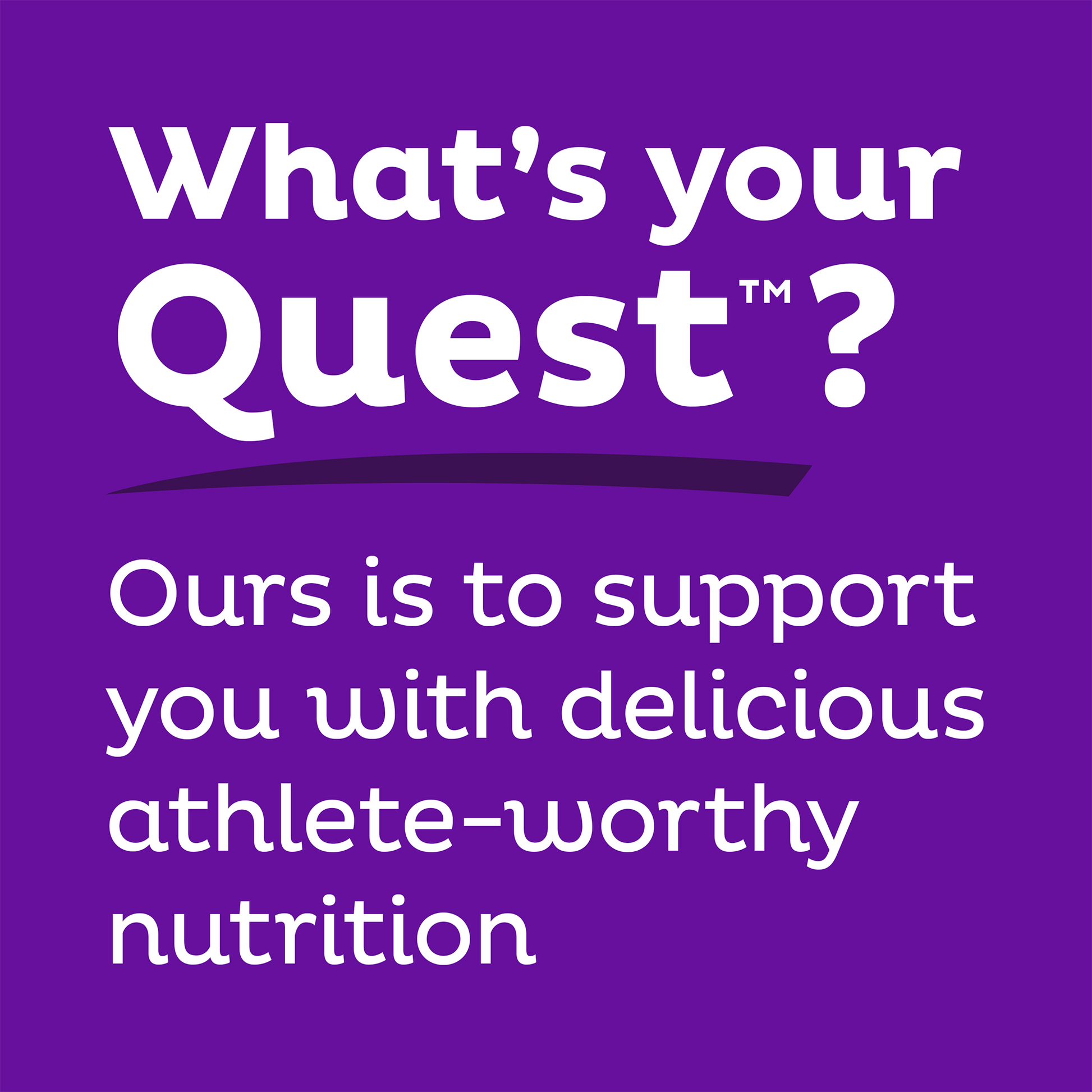 double-chocolate-chunk-protein-bars-v6 qst-000241_double-chocolate-chunk-protein-bars_9.png